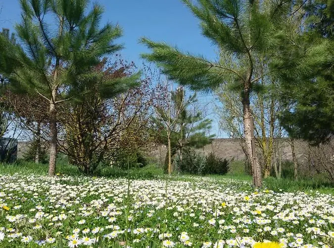 Couette-café Il Boschetto Di Morgana