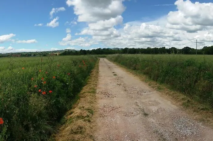 Il Boschetto Di Morgana Couette-café 3*