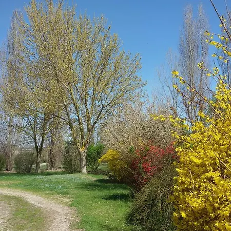 Alojamento de Acomodação e Pequeno-almoço Il Boschetto Di Morgana Castel San Pietro Terme