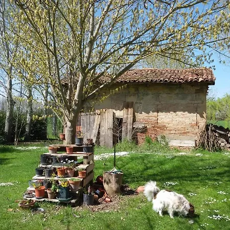 Il Boschetto Di Morgana Bed & Breakfast *