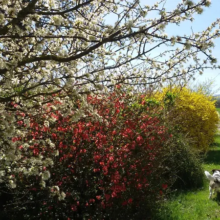 住宿加早餐酒店 Il Boschetto Di Morgana