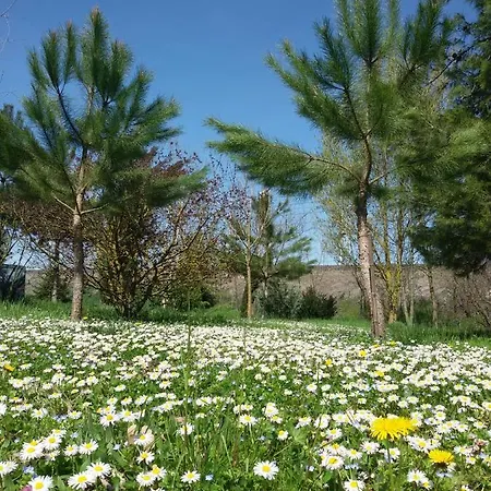 住宿加早餐酒店 Il Boschetto Di Morgana