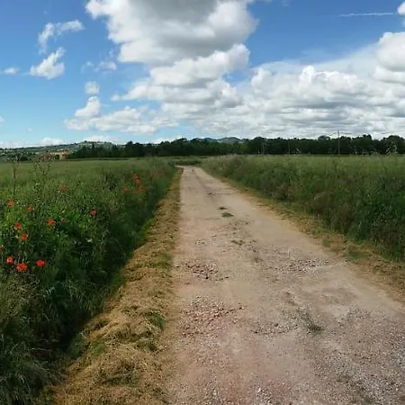 Il Boschetto Di Morgana 住宿加早餐酒店 3*