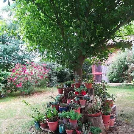 住宿加早餐酒店 Il Boschetto Di Morgana