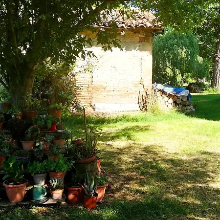 Il Boschetto Di Morgana 3*