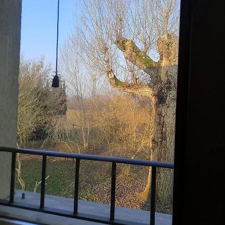 Il Boschetto Di Morgana 住宿加早餐酒店