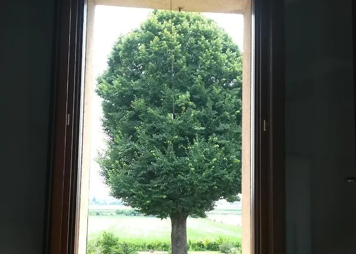 Bed & Breakfast Il Boschetto Di Morgana Castel San Pietro Terme