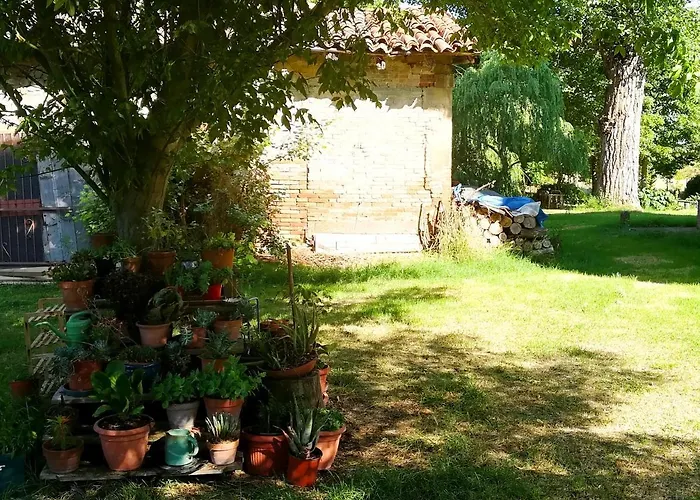 Il Boschetto Di Morgana 3*